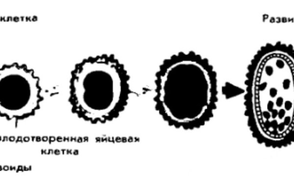 Kra12.cc